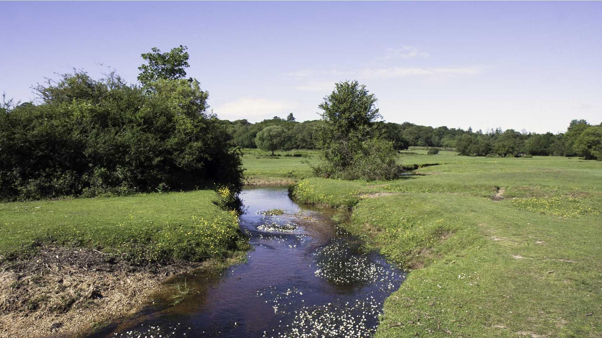 Countryside river