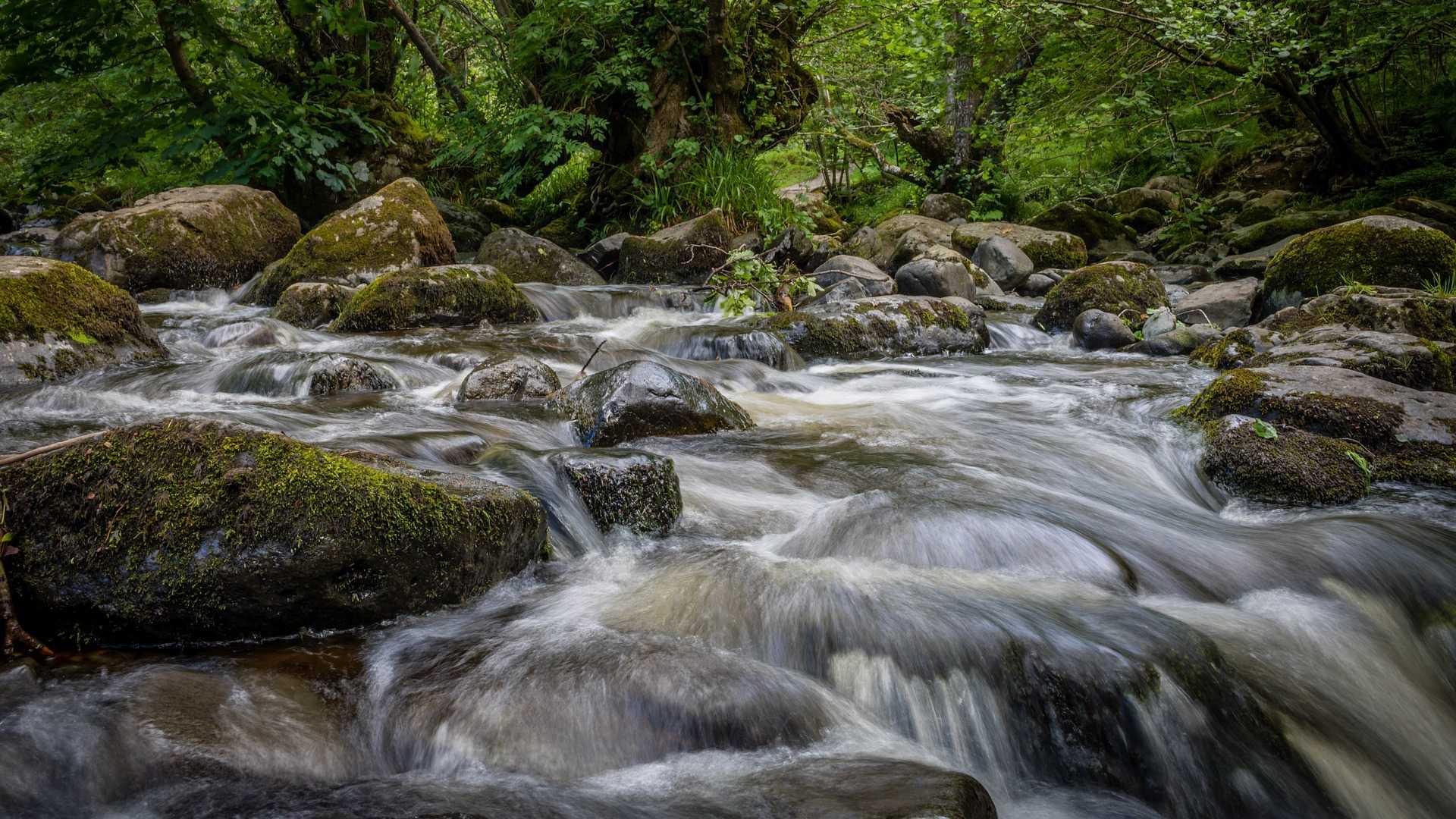 River