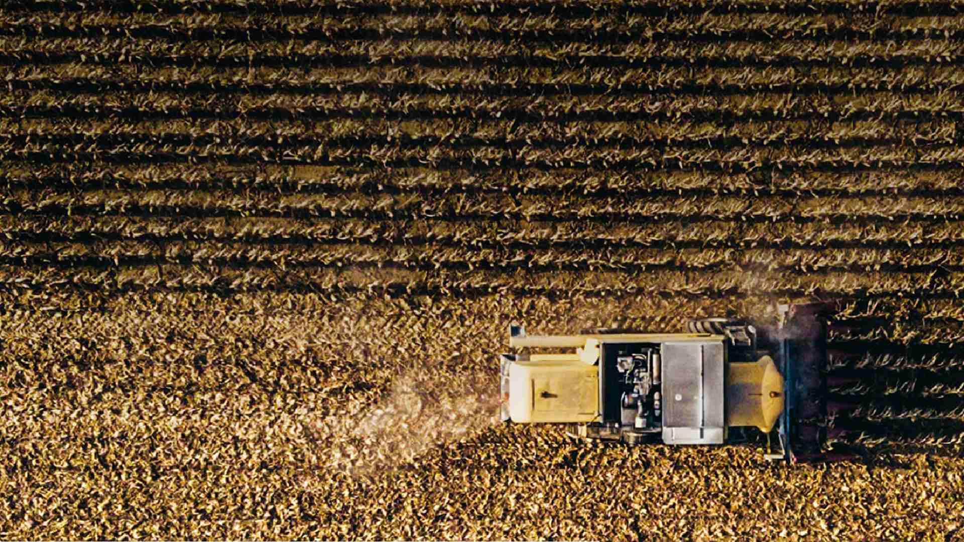 Ploughing a field