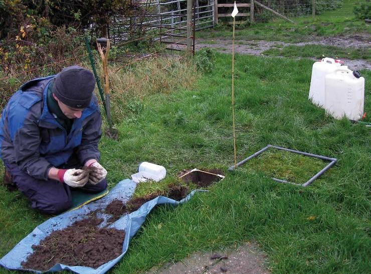 Field soil sampling.